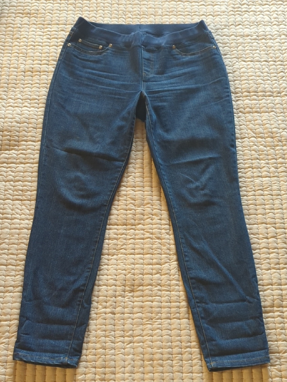 Boston Proper Jeggings